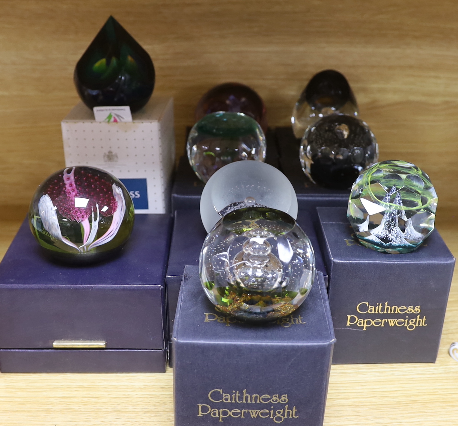 Nine Caithness paperweights including Arctic Night, limited edition 780/1500 and Sea nymphs, 114/350, each with boxes, the largest 9cm high